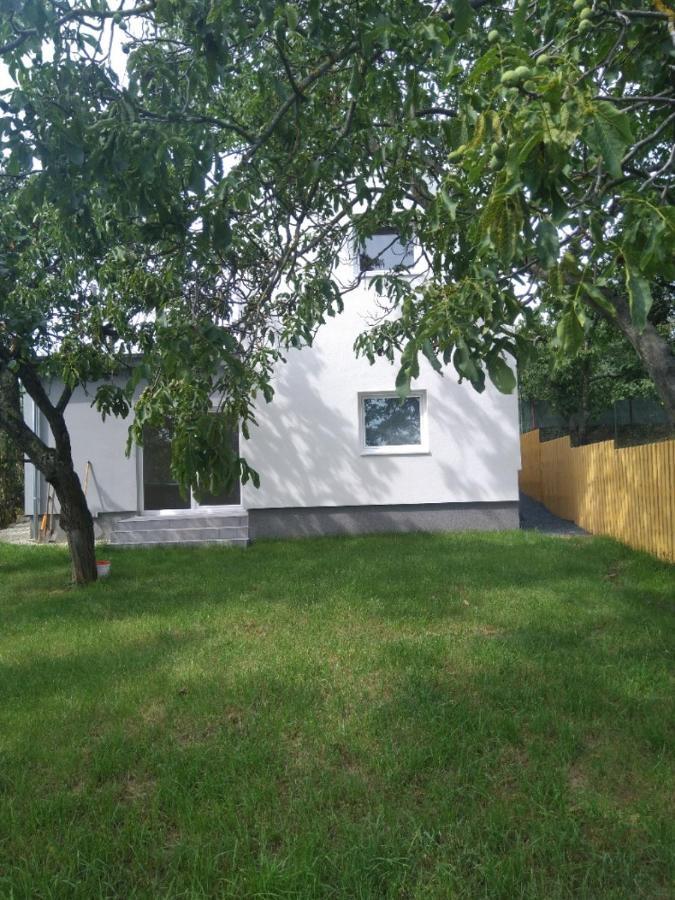 Dum V Brne Apartment Brno Luaran gambar